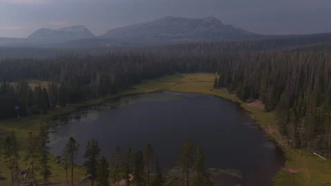 Aerial of lake and forest in Uinta Wasatch Cache National Forest in Utah Stock Footage 341840828