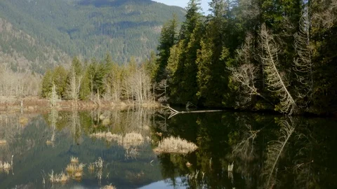 Aerial lake Video stock 126129620