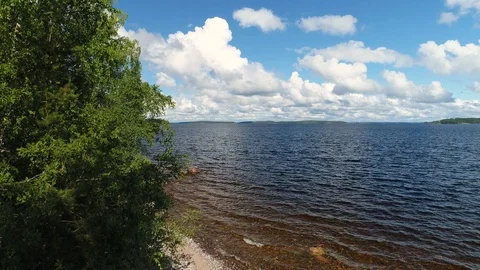 Aerial Lakeside View with Leaf Trees in Foreground 스톡 동영상 126775309