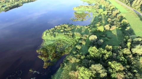 Aerial landcape of river in green meadows Stock Footage