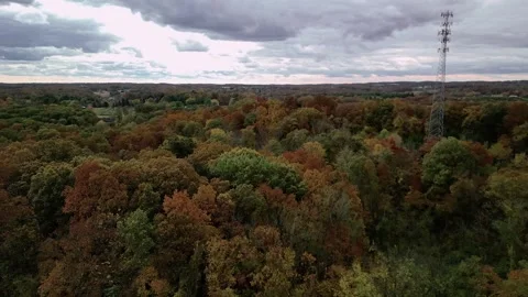 Aerial Landscape with Cell Tower among Autumn Forest. Stock Footage 320031745
