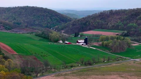 Aerial landscape of corn fields and farmland mountains in rural Appalachia .. 스톡 동영상 318619009