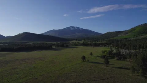 Aerial landscape of dramatic mountains and a forest grassland Stock Footage 242937062