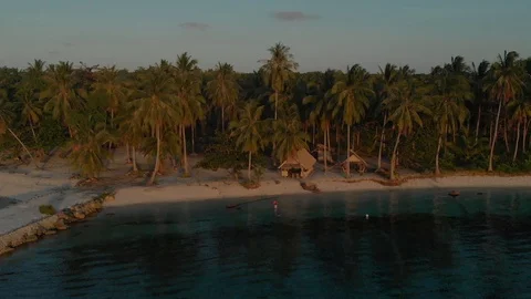 Aerial landscape drone footage for palm tree jungle in Candaraman Island Balabac Stock Footage