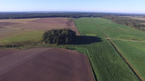 Aerial landscape of fields and forests Lithuania. Stock Footage 87120524