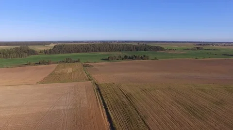 Aerial landscape of fields and forests Lithuania. Stock Footage 87123133