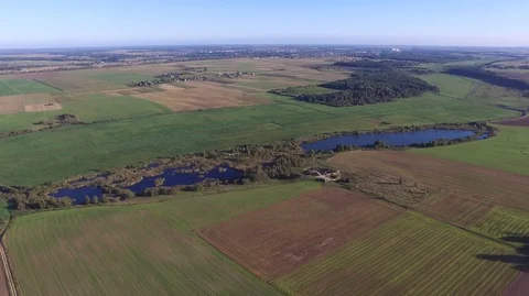 Aerial landscape of fields and forests Lithuania. Stock Footage 87123402