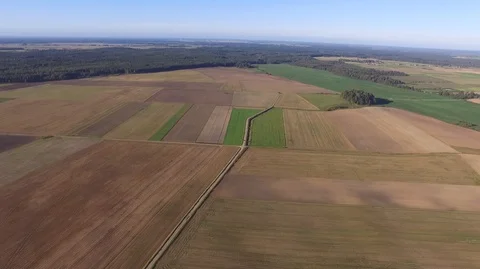 Aerial landscape of fields and forests Lithuania. Stock Footage 87124647