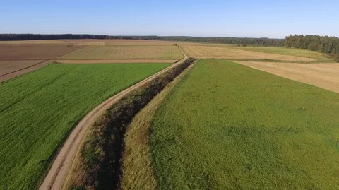 Aerial landscape of fields and forests Lithuania. Stock Footage 87124773