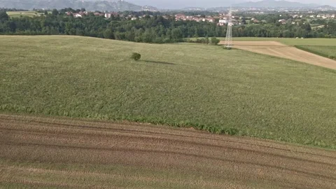 Aerial Landscape with Fields and Trees Stock Footage 134279979