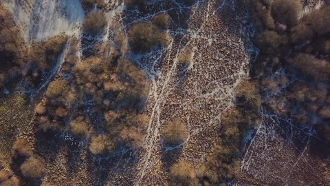 Aerial landscape with flooded fields after winter thaw.  Vídeo Stock 103057259