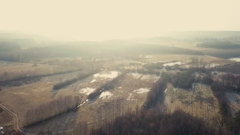 Aerial landscape with flooded fields  Vídeo Stock 103966882