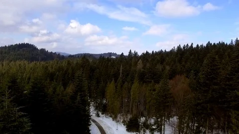 Aerial landscape of the forest Stock Footage 129421958