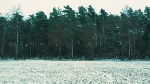 Aerial Landscape Of Forest Stock-Footage 147506224