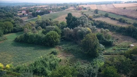 Aerial Landscape of forests fields and houses Stock-Footage 125074006