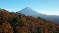 Aerial Of Landscape With Hills And Colorful Forest With Fuji Mountain In Japan Stock Footage