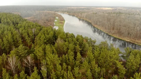 Aerial: landscape of pine forest on one side of the river and bare deciduous Stock Footage 127807729