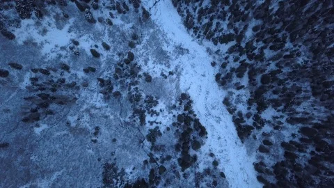 Aerial of landscape with pine trees covered with snow Stock Footage 104529211