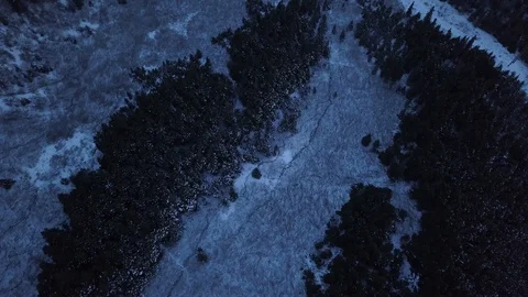 Aerial of landscape with pine trees covered with snow Stock Footage 104529343