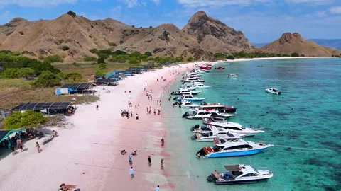 Aerial Landscape of Pristine Pink Beach and Blue Ocean with Speedboat Stock Footage 341174714