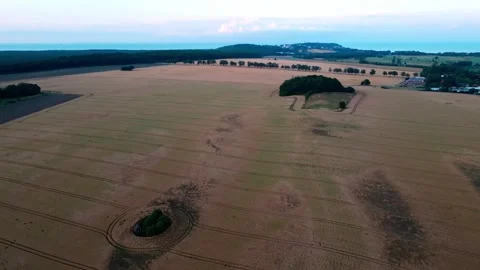 Aerial landscape of rapeseed fields during summer on the island of Rgen Germa 스톡 동영상 250109342