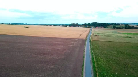 Aerial landscape of rapeseed fields during summer on the island of Rgen Germa Vídeo Stock 250110055