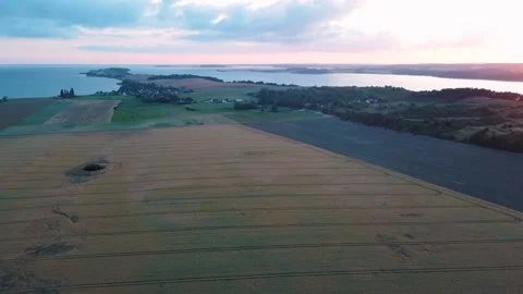 Aerial landscape of rapeseed fields during summer on the island of Rgen Germa Vídeo Stock 250110285