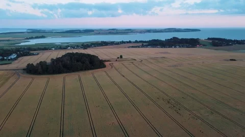 Aerial landscape of rapeseed fields during summer on the island of Rgen Germa 스톡 동영상 250110313