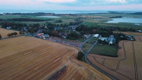Aerial landscape of rapeseed fields during summer on the island of Rgen Germa 스톡 동영상 250110395