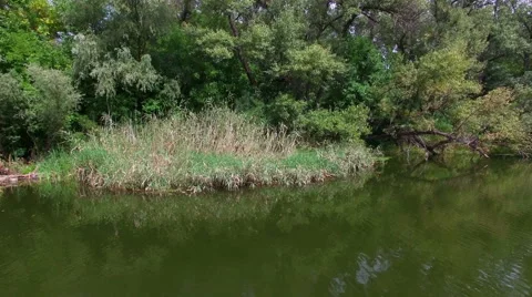 Aerial. Landscape with river and trees. Stock Footage 53813124