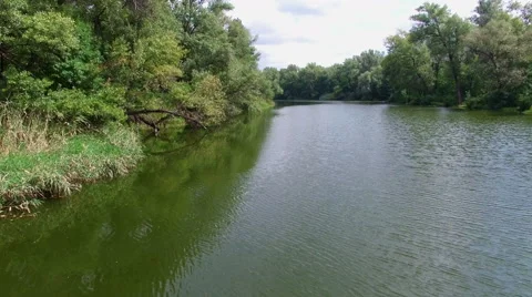 Aerial. Landscape with river and trees. Stock Footage 53814788
