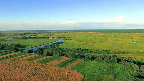 Aerial landscape with river, forest and field Stock Footage 99596937
