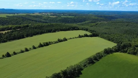 Aerial landscape showcasing patchwork fields, hedgerows and dense forests. Stock Footage 318254026