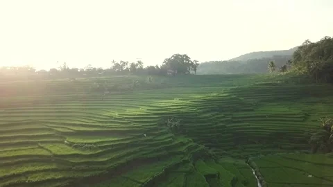 Aerial landscape view of countryside fields, mountain background Stock Footage 317298055