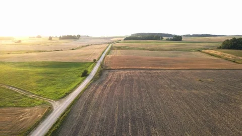 Aerial landscape view of crop fields and road during summer sunset Stock Footage 211432335