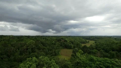 Aerial Landscape View of Deep Green Forest Cinematic Nature Footage 4K Stock Footage 340239524