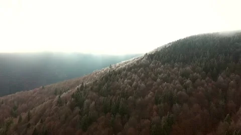 Aerial landscape view of a forest on the mountain in autmn Stock Footage 201149923