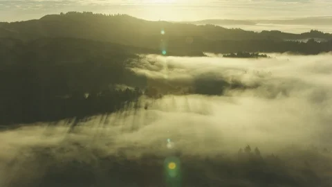 Aerial landscape view of forests and countryside over Oregon USA Stock Footage