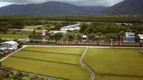 Aerial landscape view with rice fields, mountains and train passing by. Taiwan Stock Footage 101979907