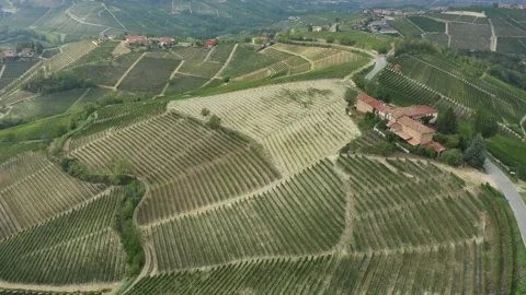 Aerial Langhe Serralunga Alba 5 Stock Footage 208412969