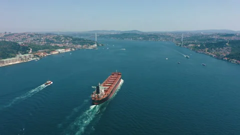 Aerial: large freight ship full of containers sailing through Bosphorus Bridge Stock Footage 218375742