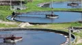 Aerial large sedimentation basins with scrapers for sewage cleaning HD Footage