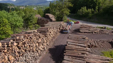 AERIAL: Large stack of lumber at the forest edge Stock Footage 38356291