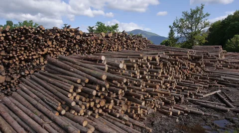 AERIAL: Large stack of lumber logs at the forest edge Stock Footage
