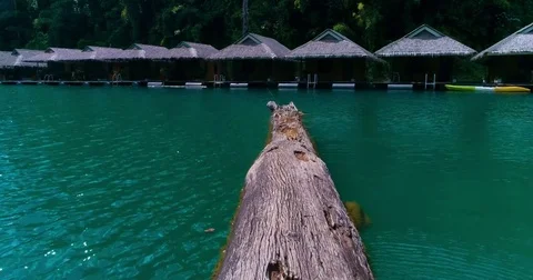 Aerial: A large tree trunk drifts along the lake. Stock Footage 82709262