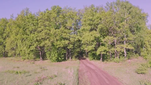 Aerial lateral shot of the forest. Stock Footage 111401205