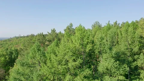 Aerial lateral shot. Forest zone in the country in the morning. Stock Footage 111401995