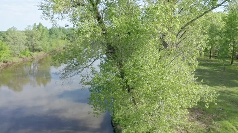 Aerial lateral shot of the river. Stock Footage 111402305