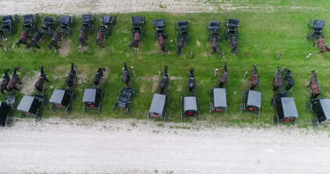 Aerial Left Over Roll Of Black Mennonite Horses And Buggies Together At church Vidéo 157386370