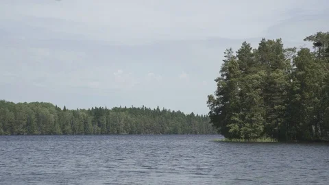 Aerial in the Leningrad region Stock Footage 118360853